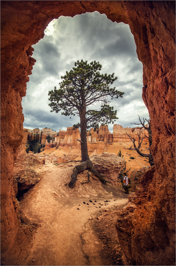 Fenster ins Ungewisse