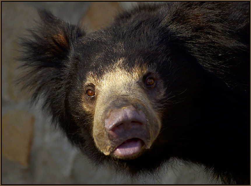 Und ich versprach lecker zu geben! .......