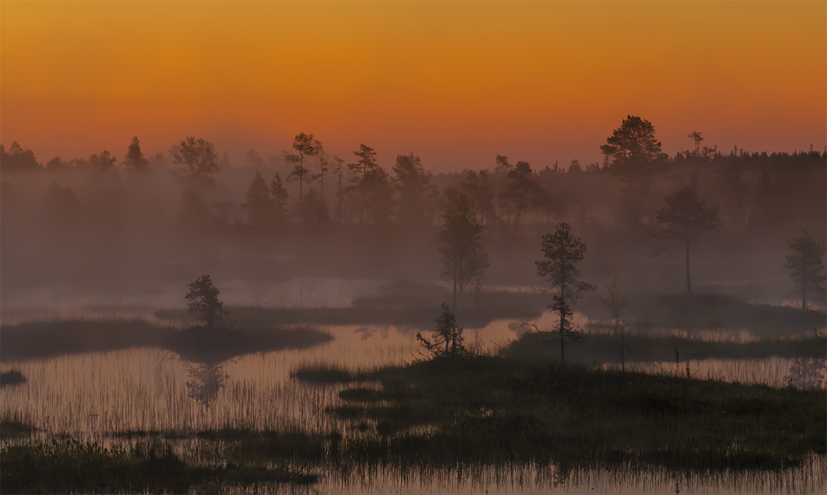 Karelischen Sommernächte
