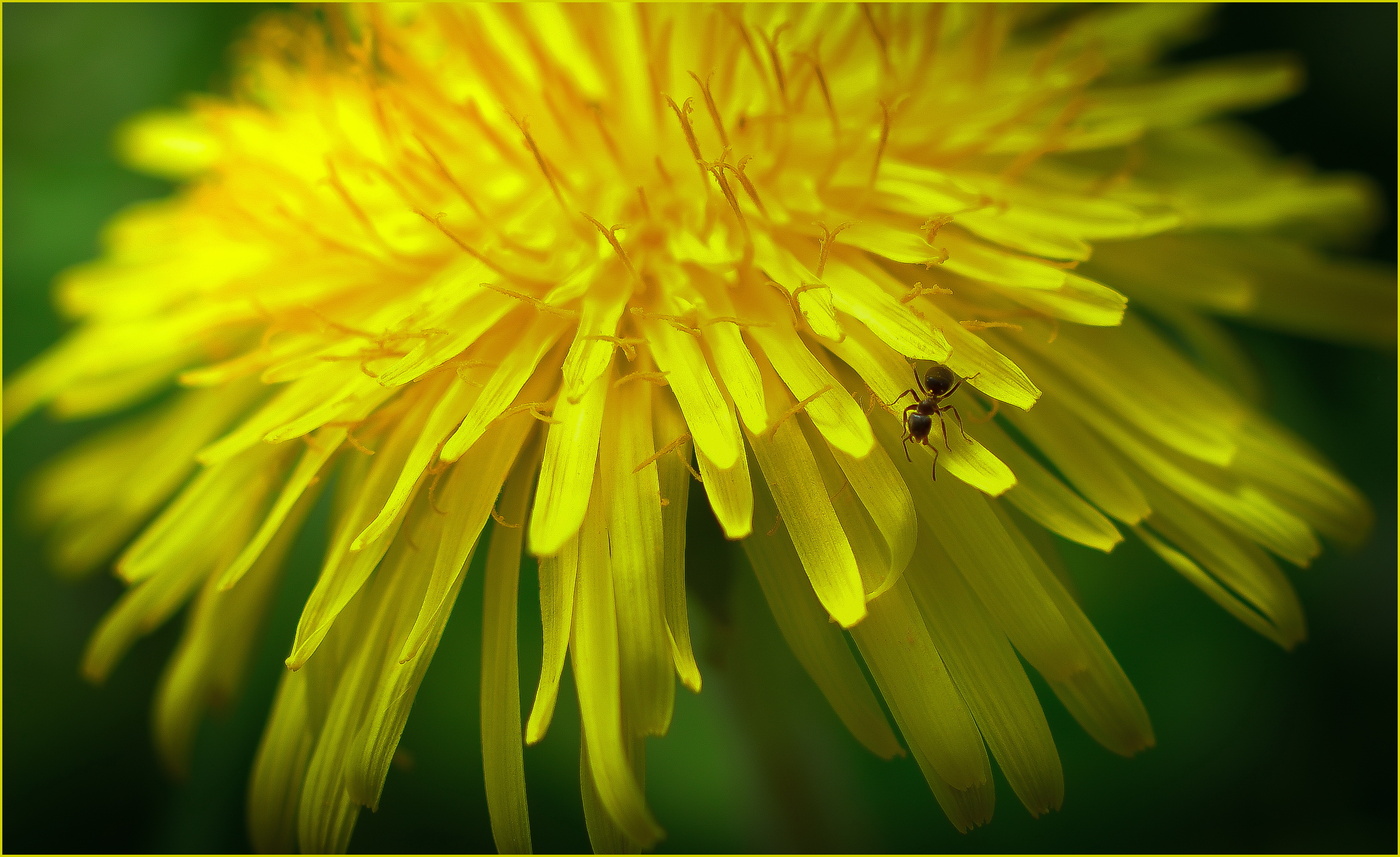 Wo stehen wir und wo Mai