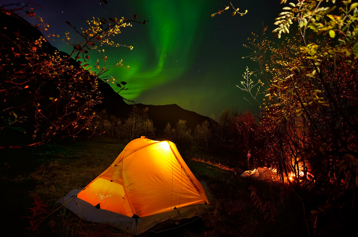 Comfort Khibina Kampagne