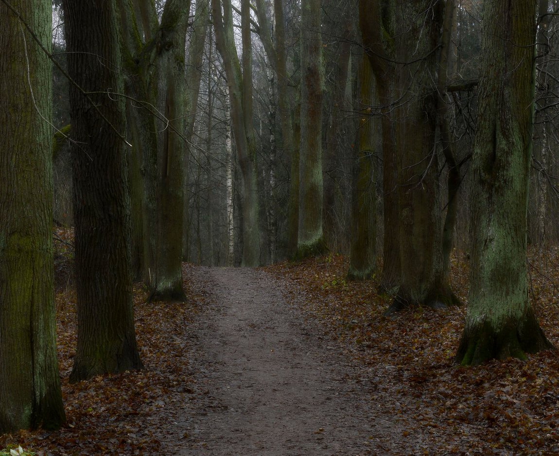 Verregneten Wochenende. November