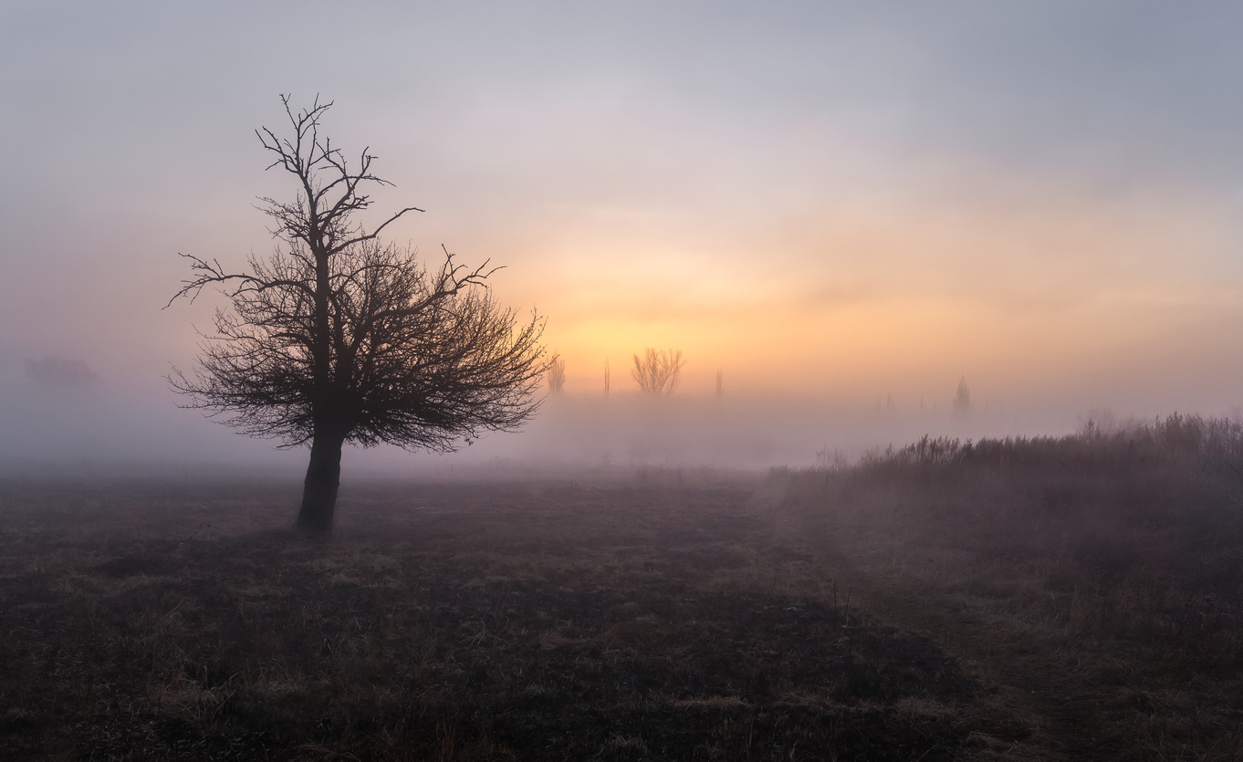 Auch hier gehe ich zurück im Herbst ...