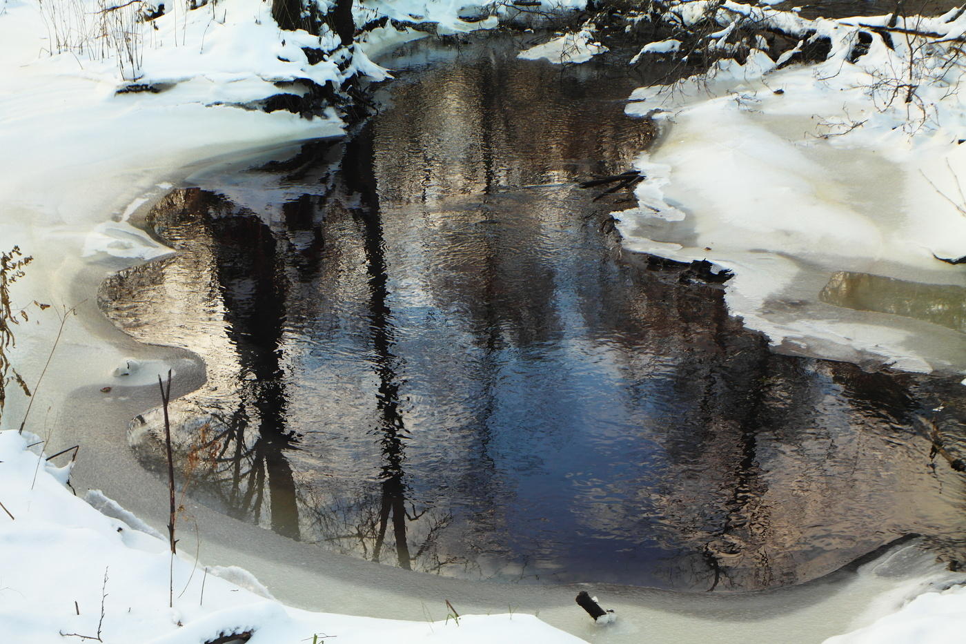 Reflection November.