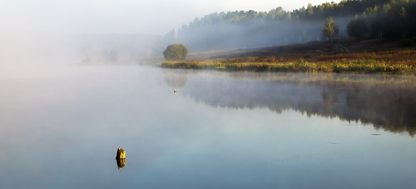 Morgendämmerung, Nebel