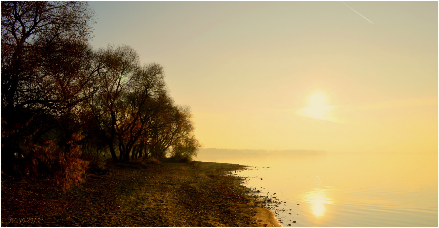 Sonnenuntergang im Nebel