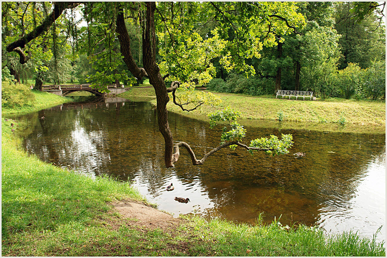 In Zarskoje Selo №2