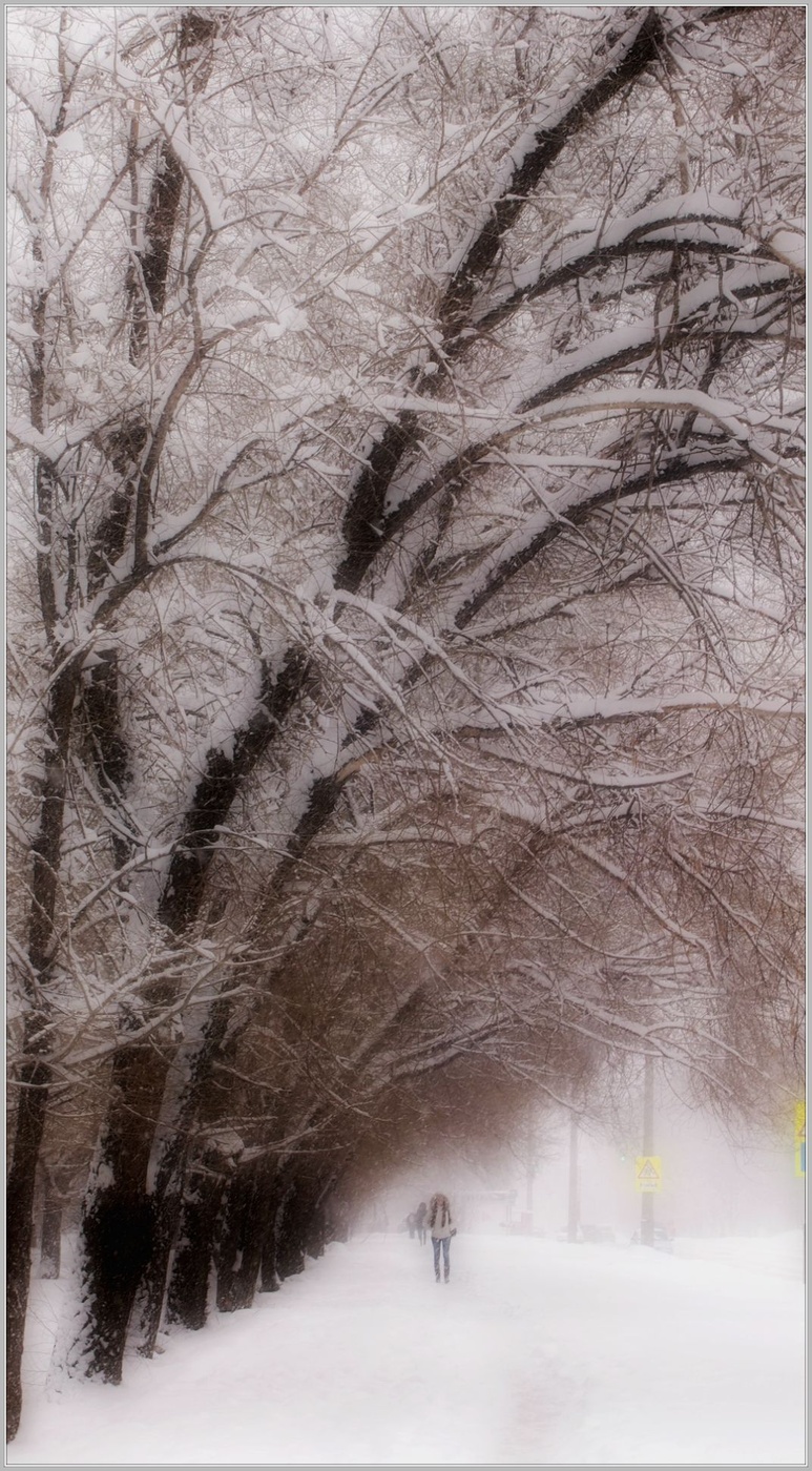 Es gibt kein schlechtes Wetter