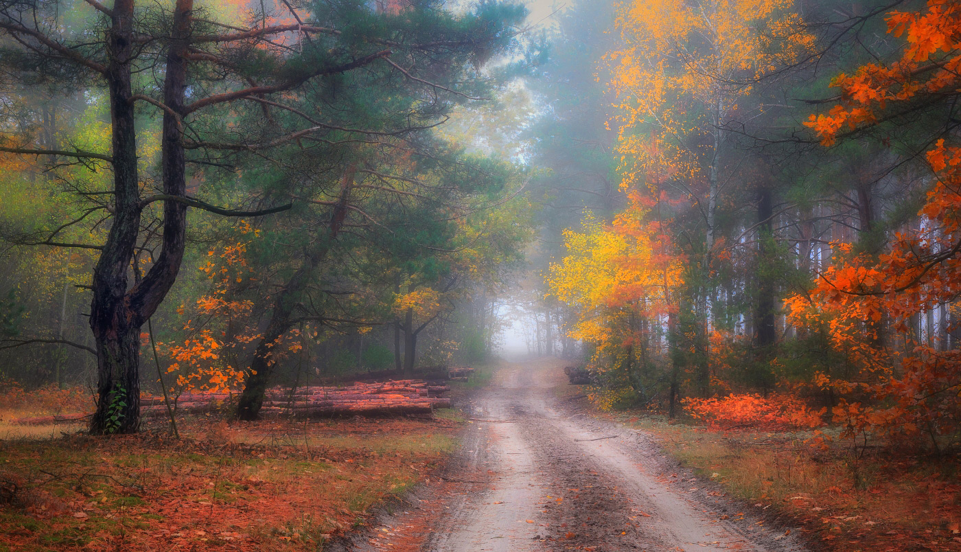 Es gibt kein schlechtes Wetter