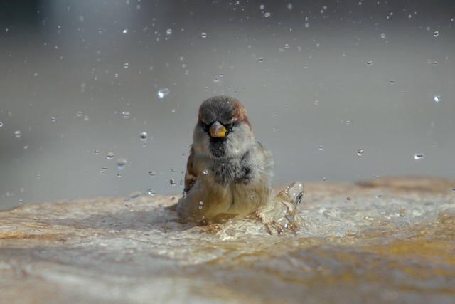Es gibt kein schlechtes Wetter