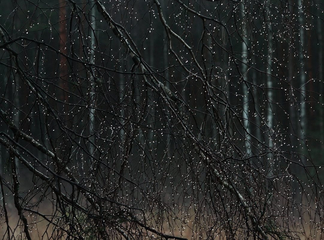 Es gibt kein schlechtes Wetter