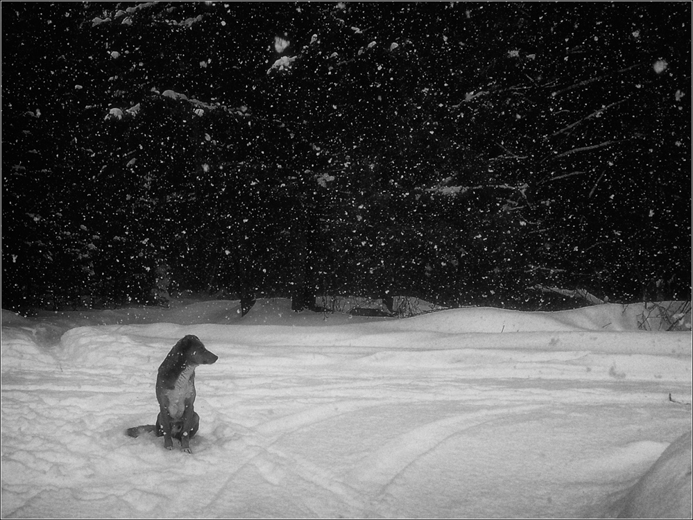 Es gibt kein schlechtes Wetter