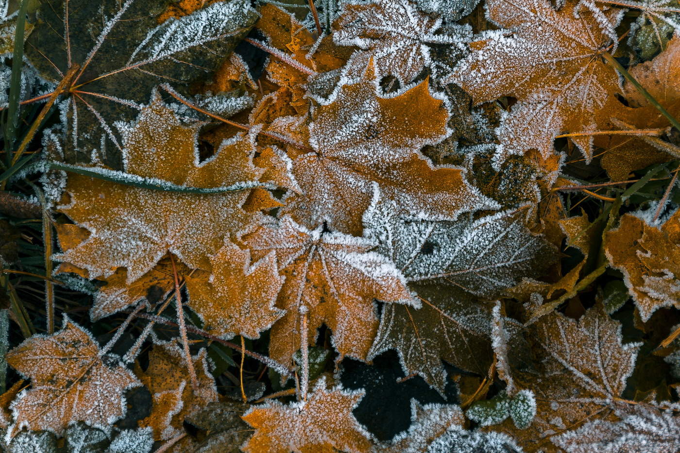 Es gibt kein schlechtes Wetter