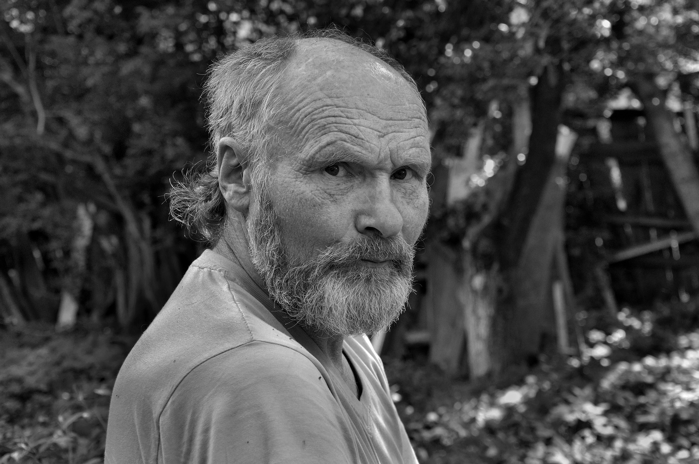 Die Künstler und Dichter Ivan Dashko 2013