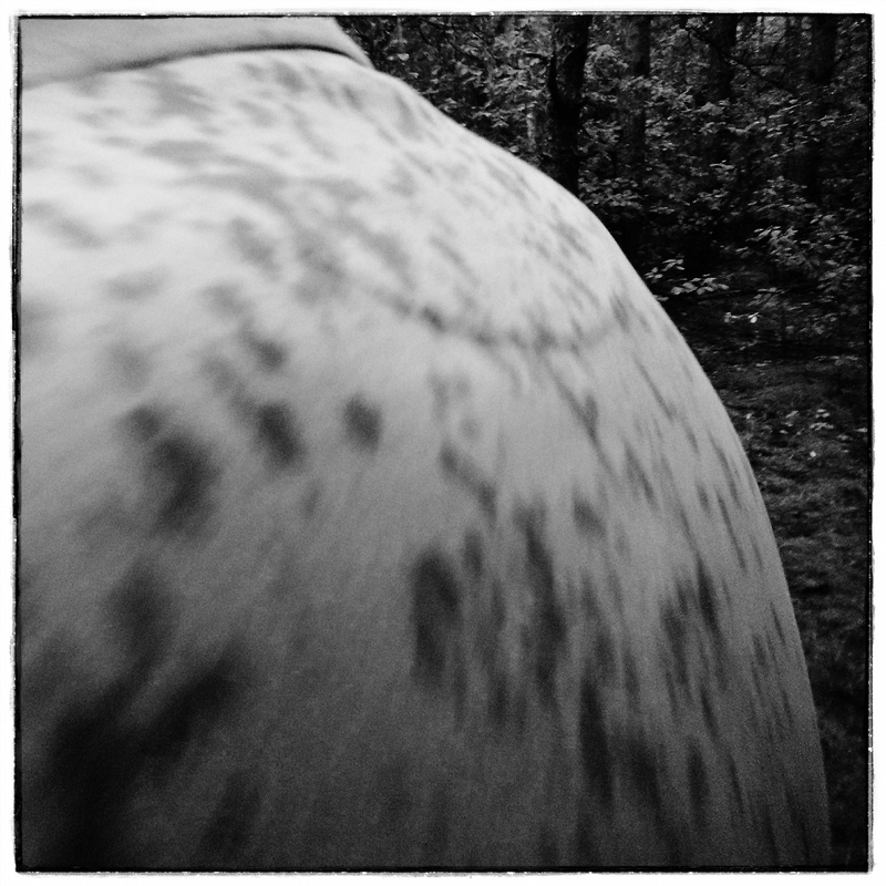 Es gibt kein schlechtes Wetter