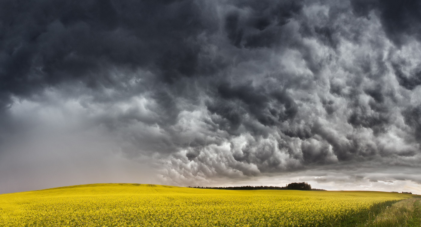 Es gibt kein schlechtes Wetter