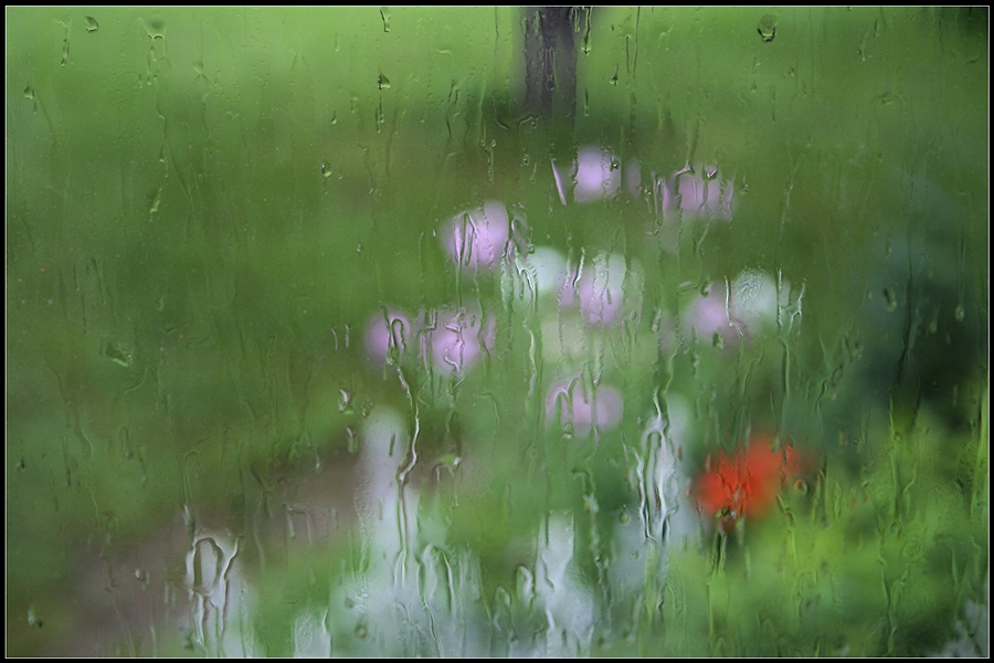 Es gibt kein schlechtes Wetter