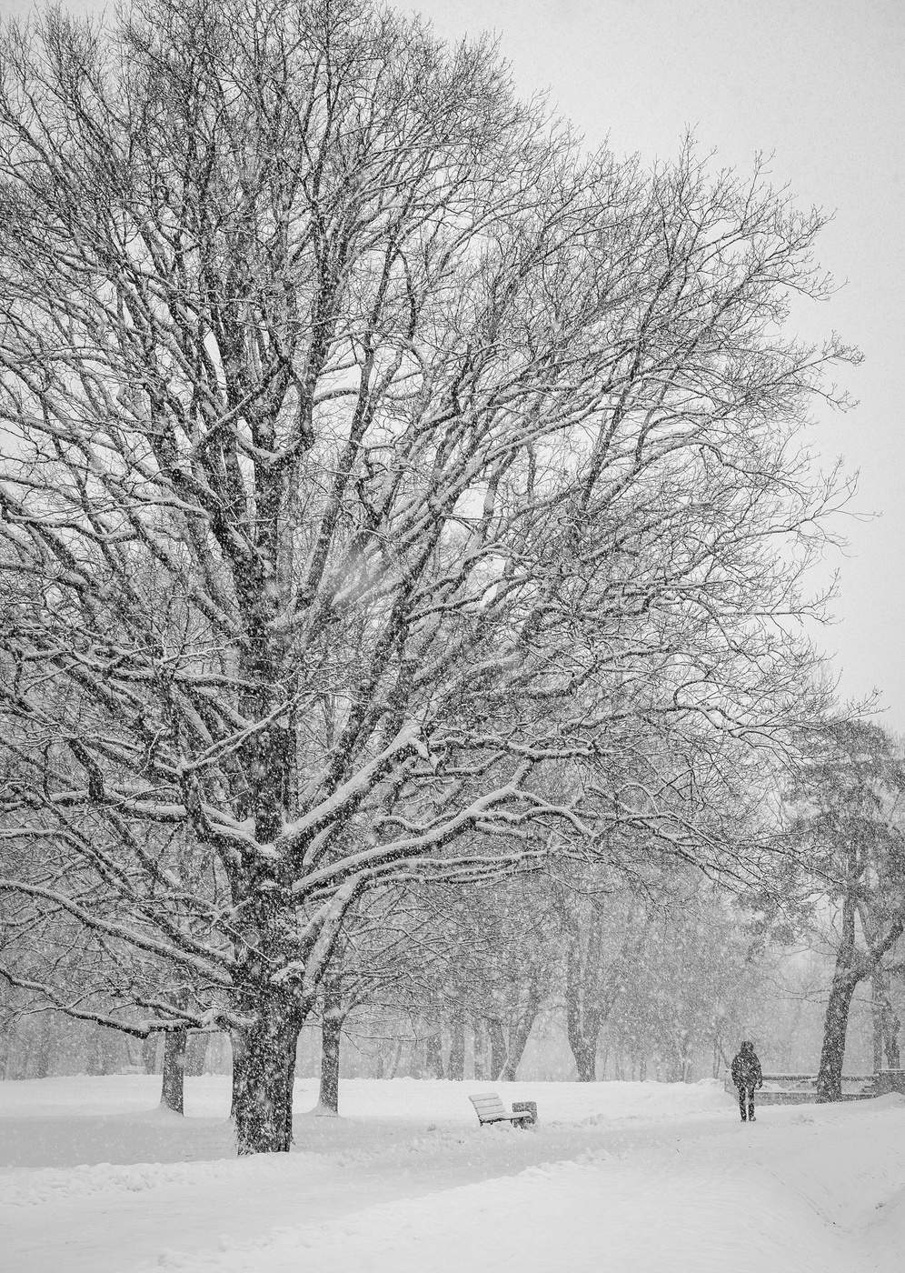 Es gibt kein schlechtes Wetter