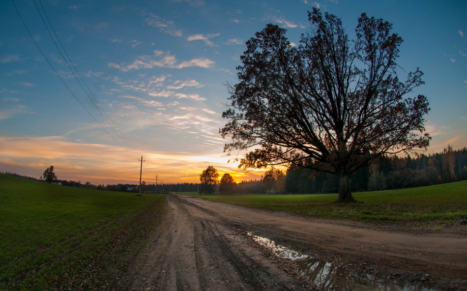 Zwischen den Feldern