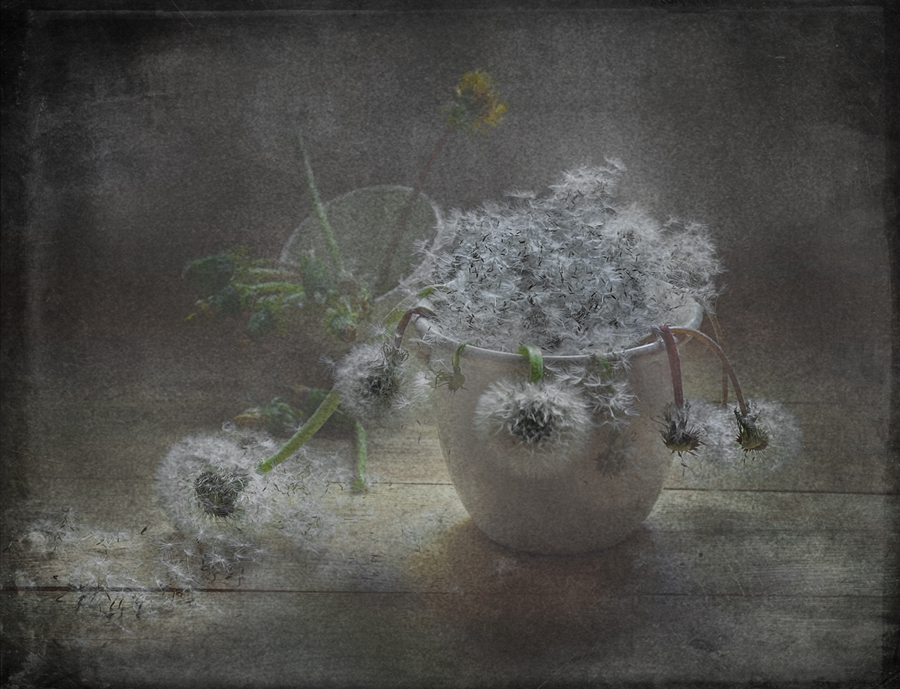 Aus der Serie "Beendet den Ball ..."