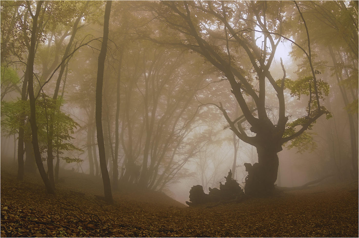 Stellplätze mit Demerdzhi ....