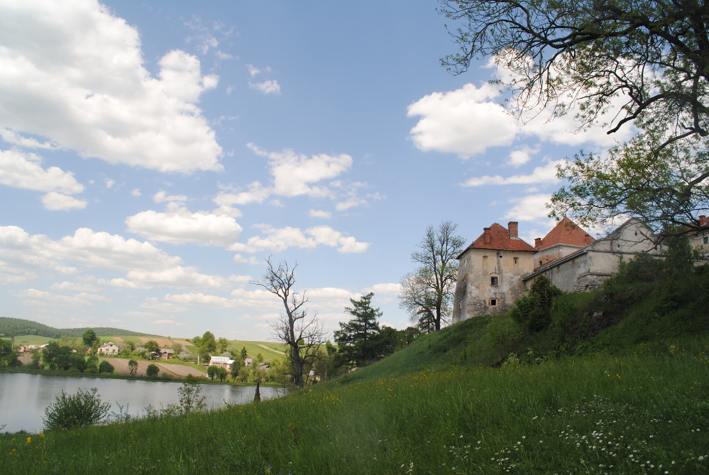 ** Svirzhsky Castle *
