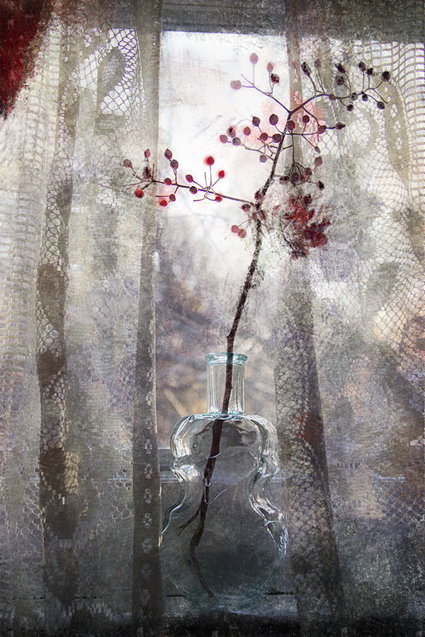 * Morgen und der Fensterbank *