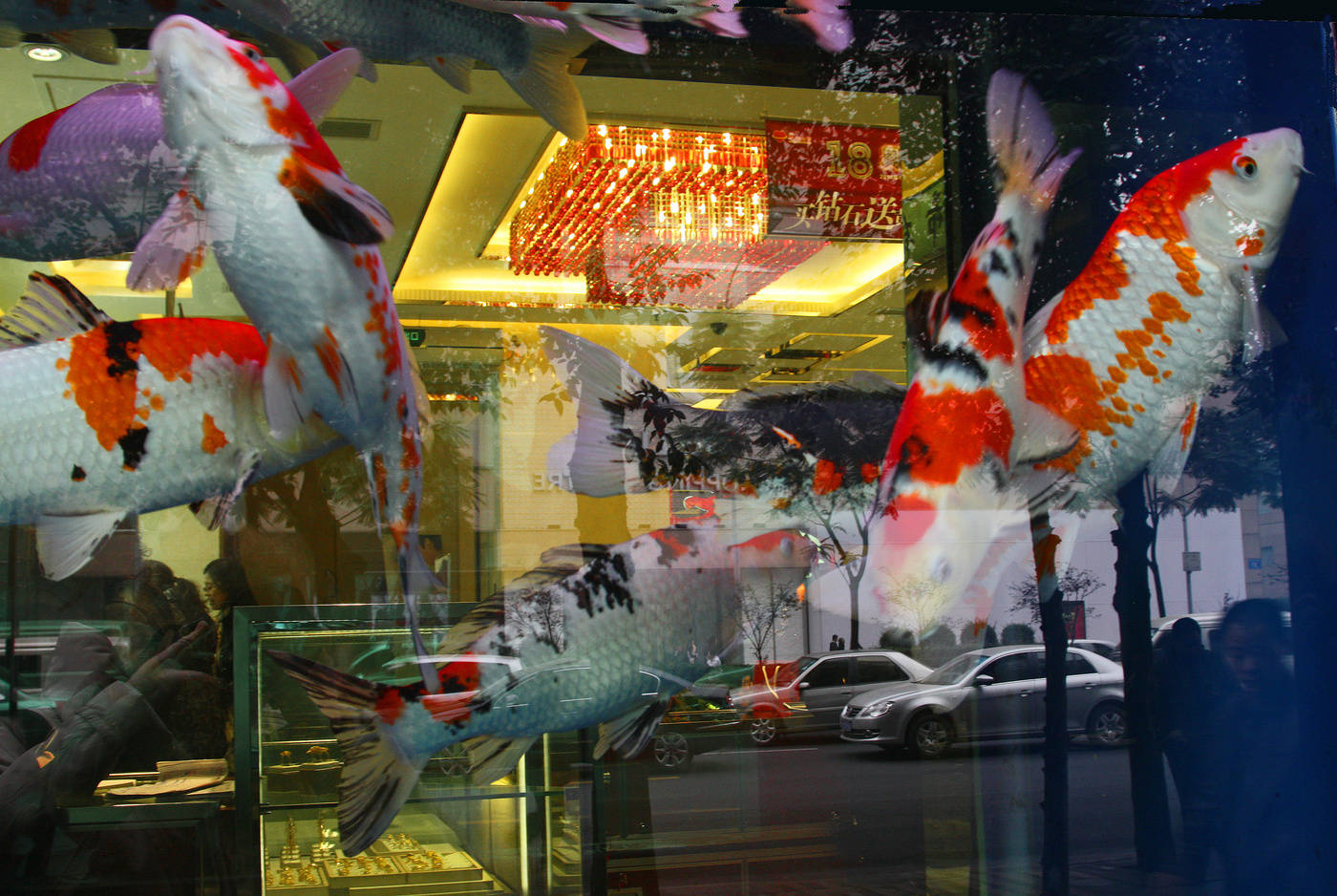 Diese seltsame Unterwasserwelt