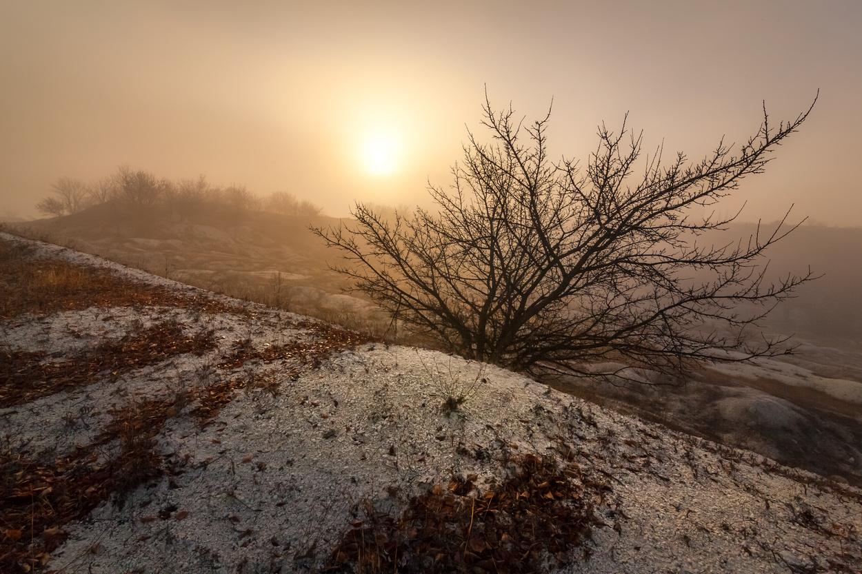 In den Armen November