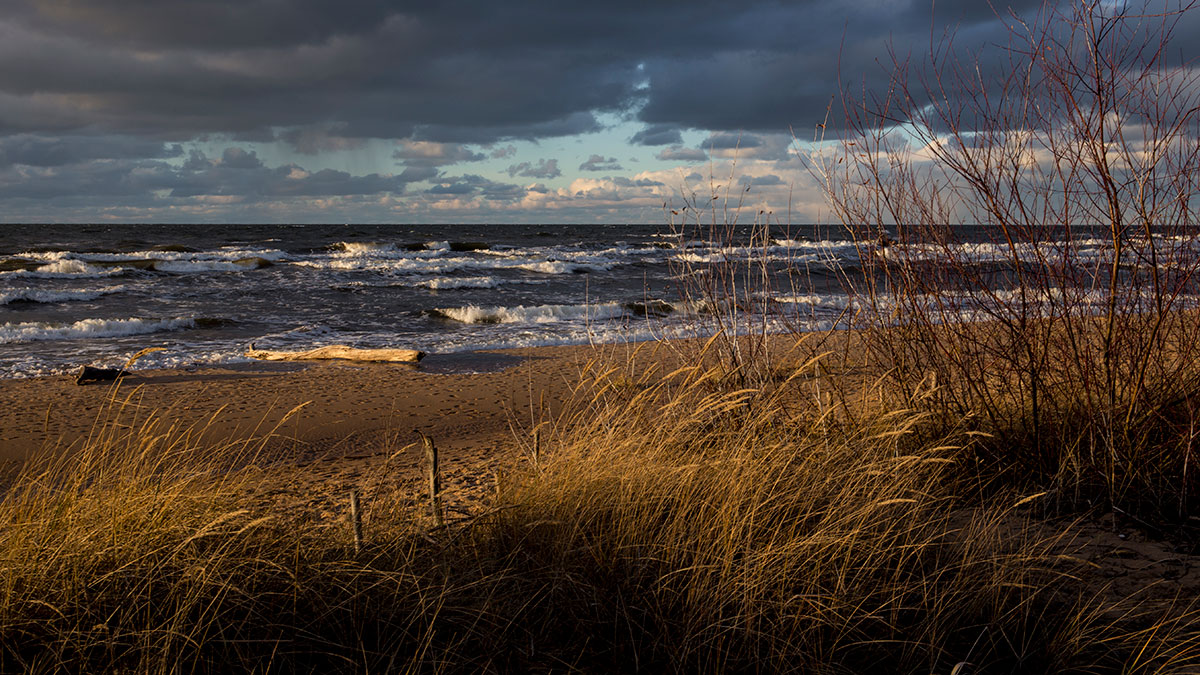 Premonition des Winters