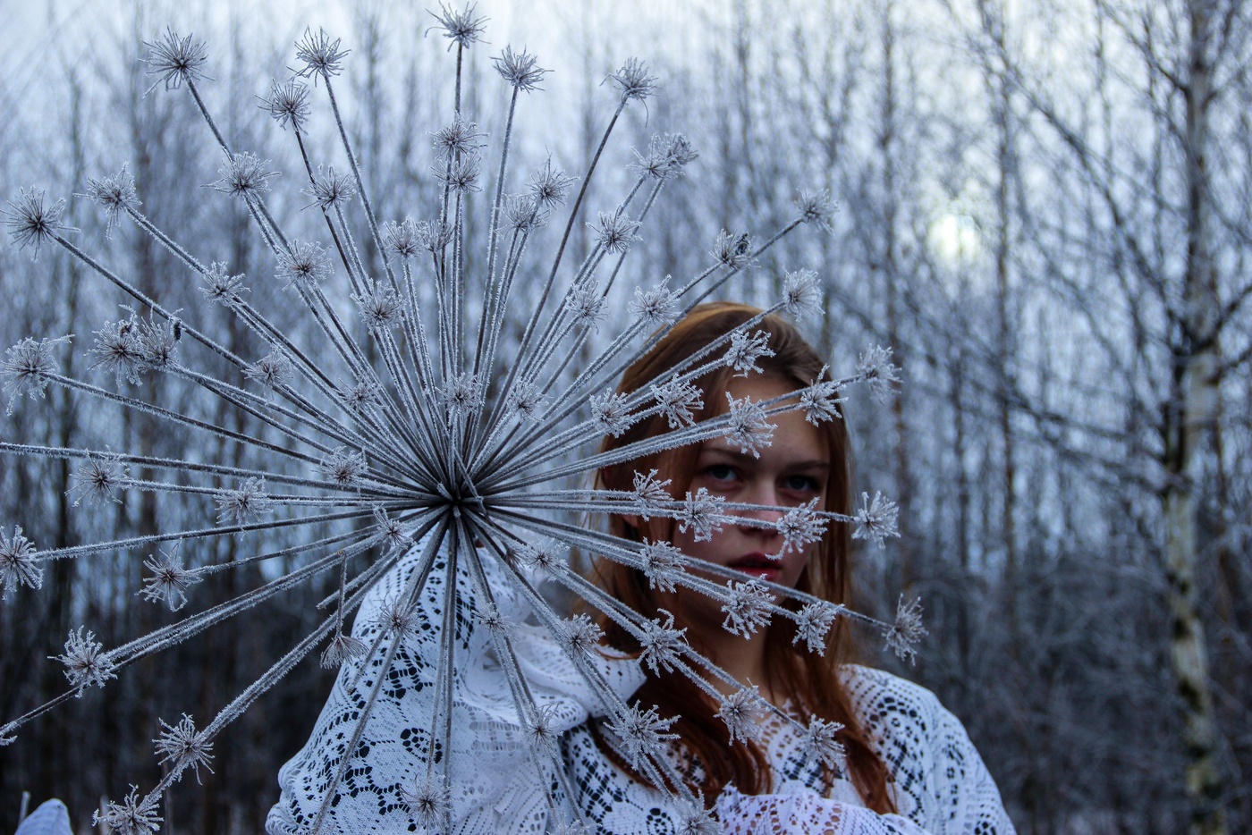 Die Schneekönigin...