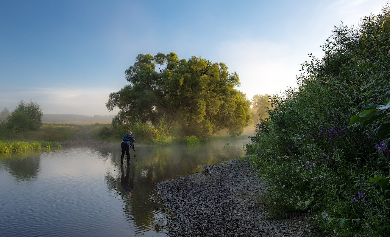 Morgendämmerung, Nebel