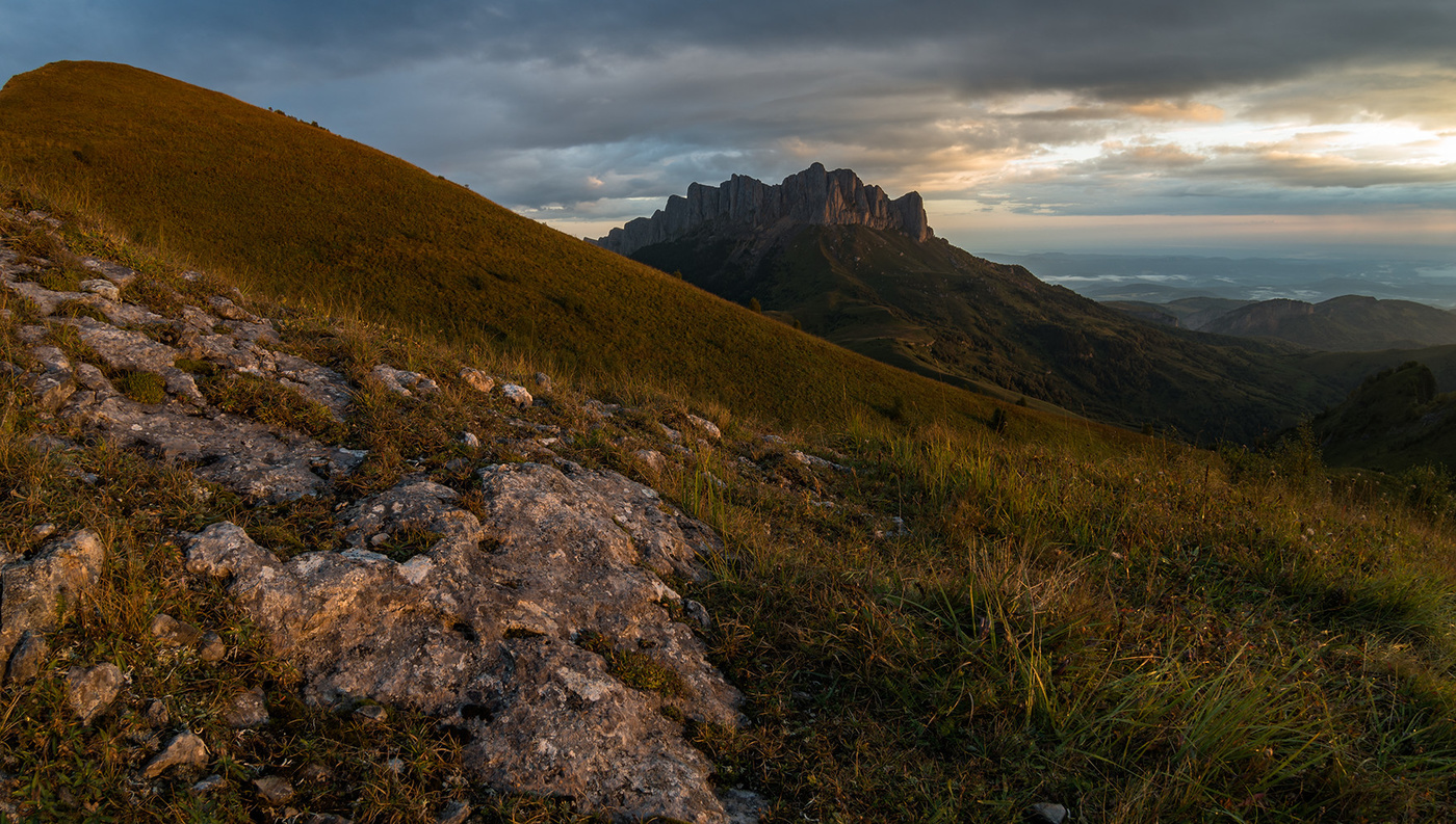 Suchen Sie nach einem Vormittag