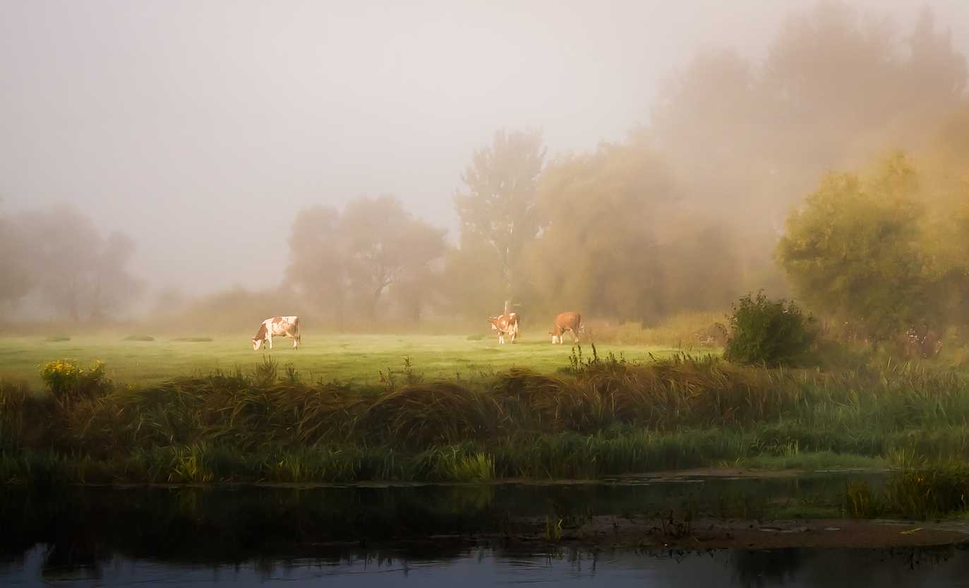 Autumn Pastoral