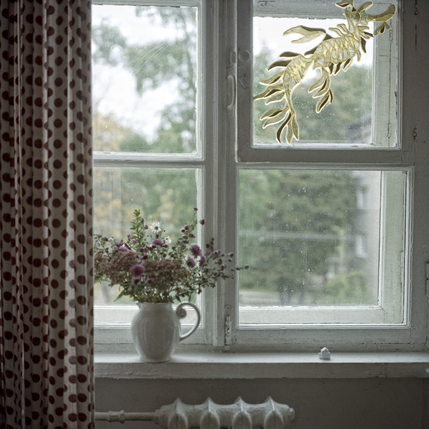 Auf der Suche nach dem Haus ...