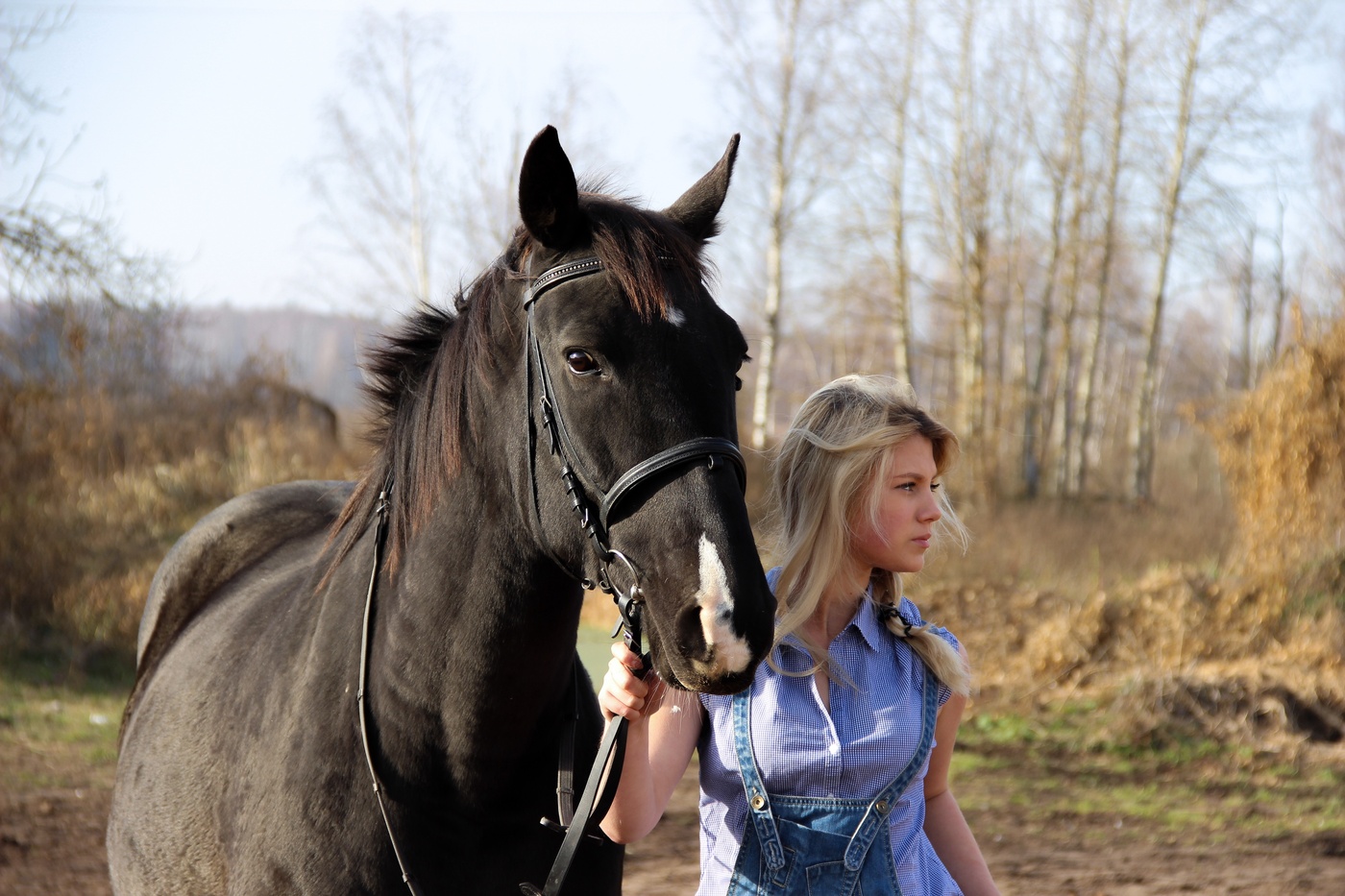 wir werden mit einem Pferd gehen ....