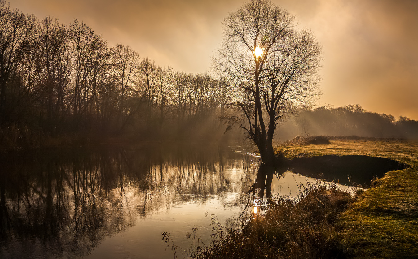 "Es gibt einen Wald voller Visionen und langen ..."