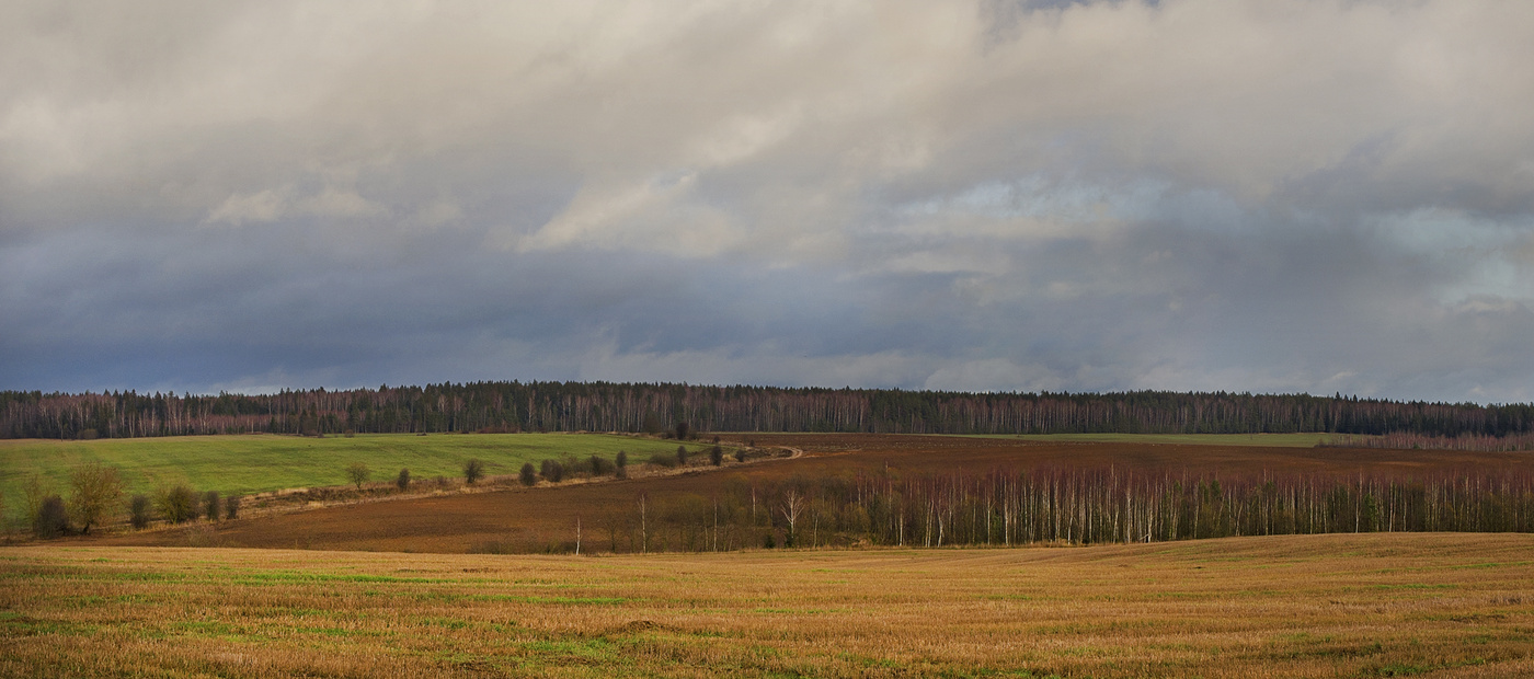 Die November-Pastorale