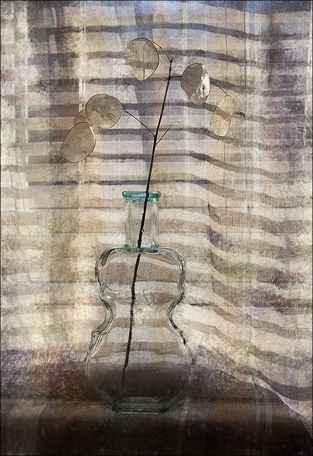 * Alle gestreiften in der Welt *