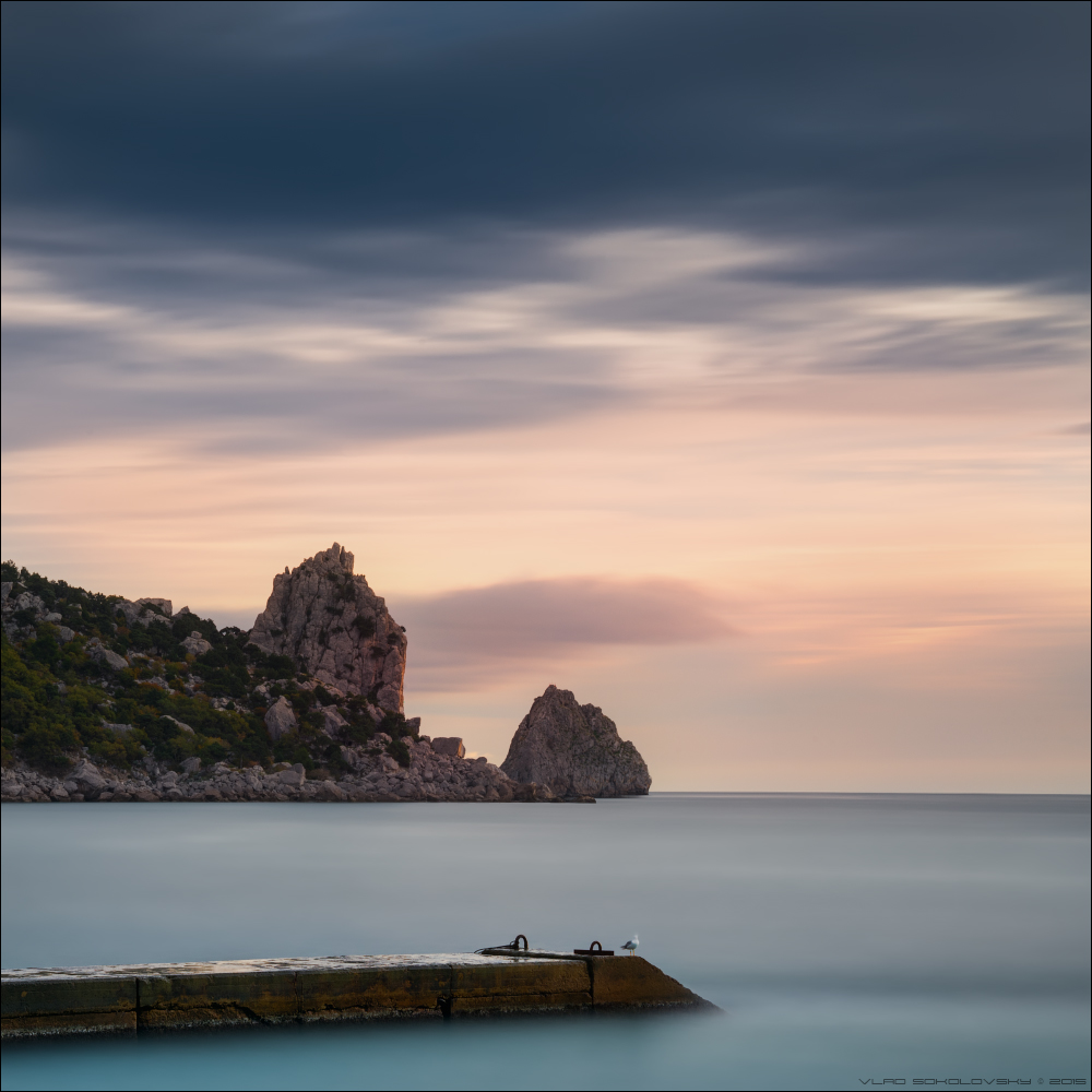 / Landschaft mit Möwe /