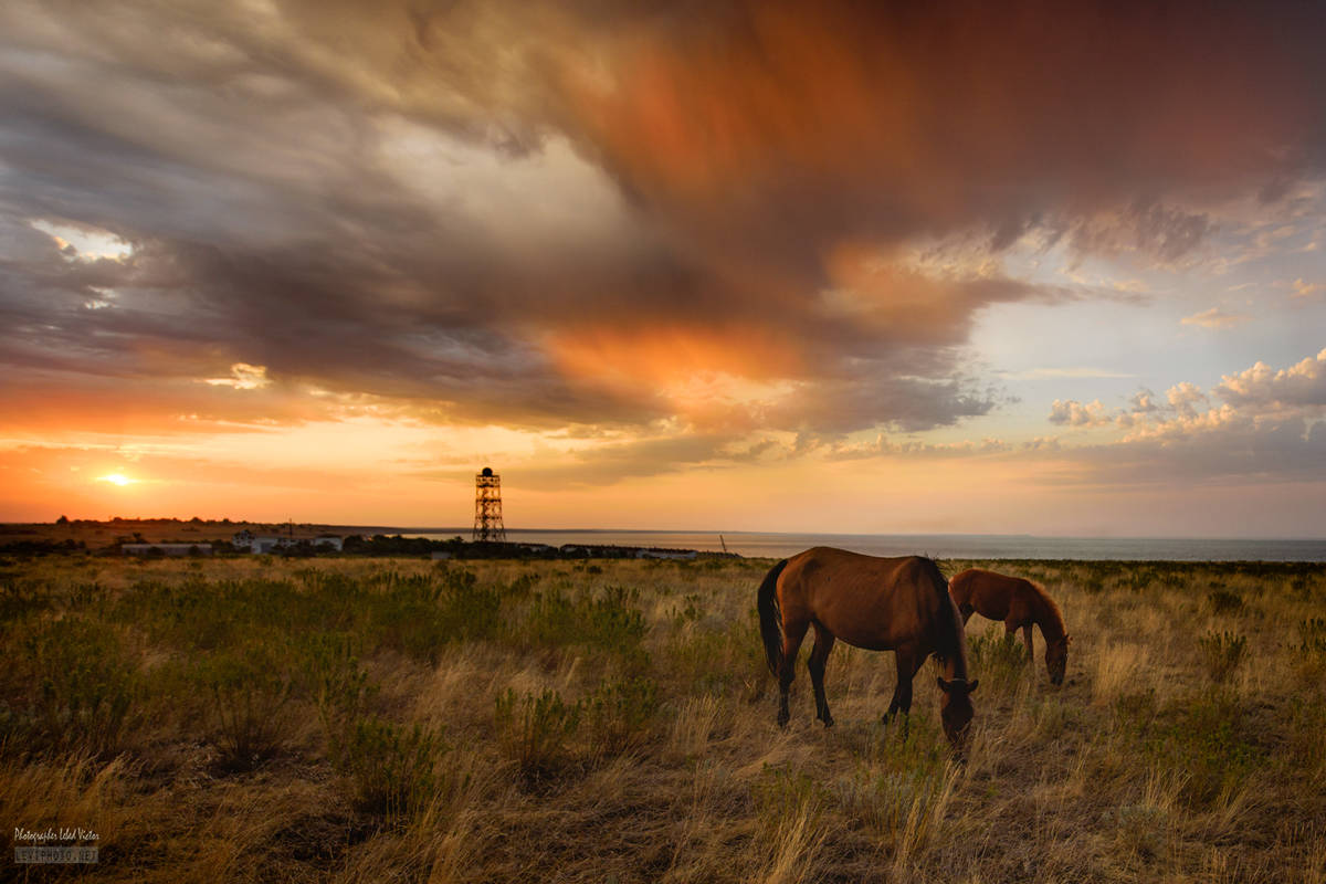 Geschmack der Morgendämmerung