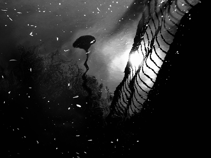 -Lyuyuyuyuyuyuyuboov, Warum willst du mich zu foltern? ..