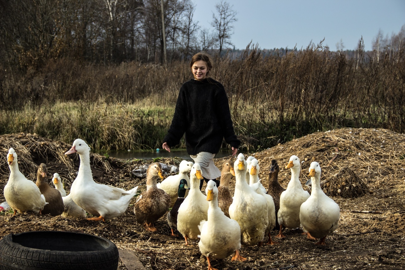Ein Fragment von Leben auf dem Bauernhof ...