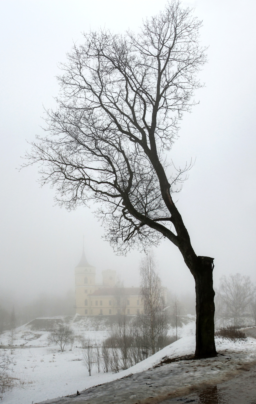 Nebel