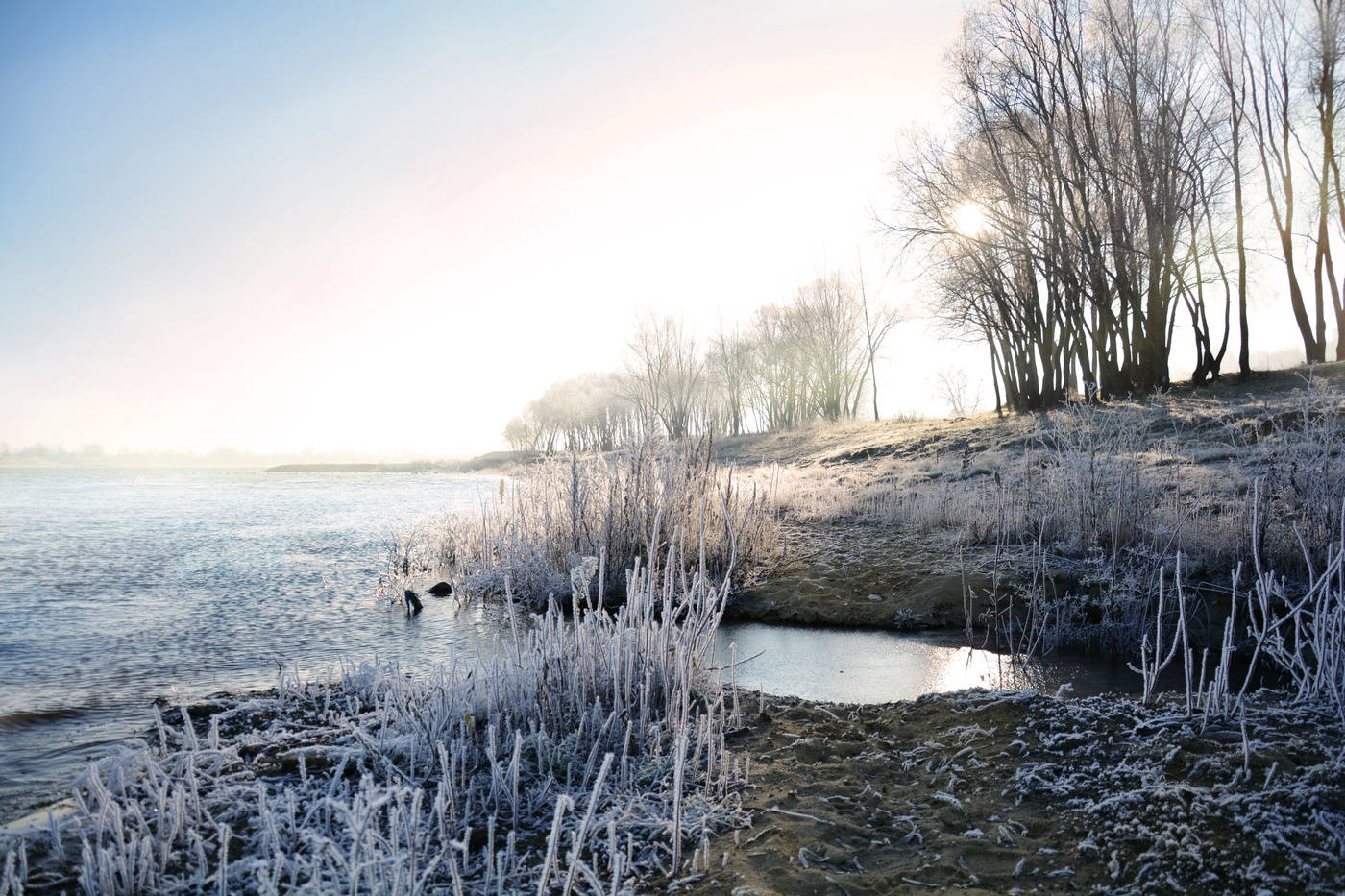 Studzena kal Raki ...