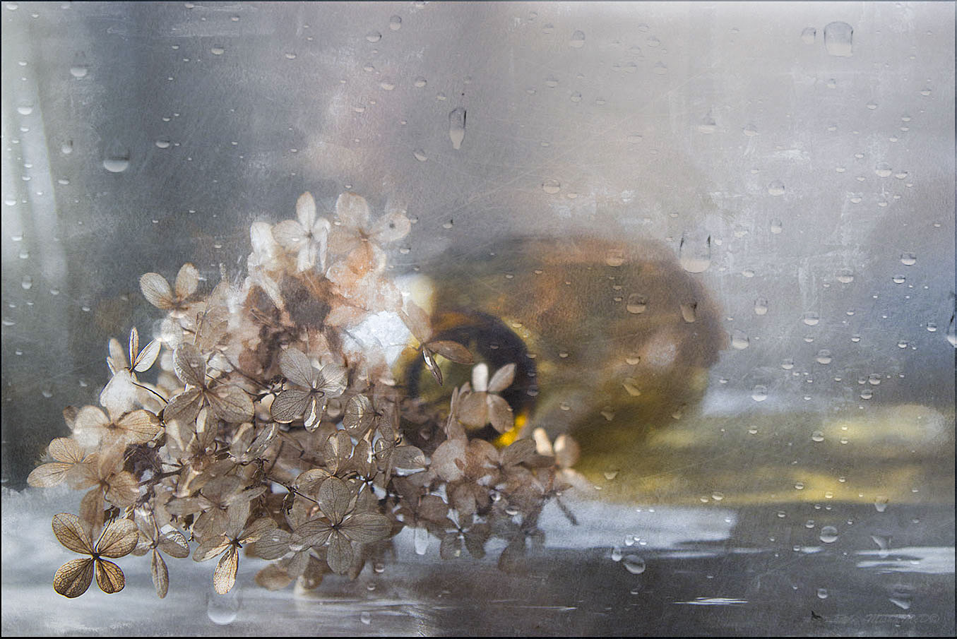 * Tränen regen nach einer verlorenen Sommer *