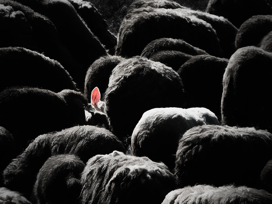 Es war einmal eine neugierige rosa Öse