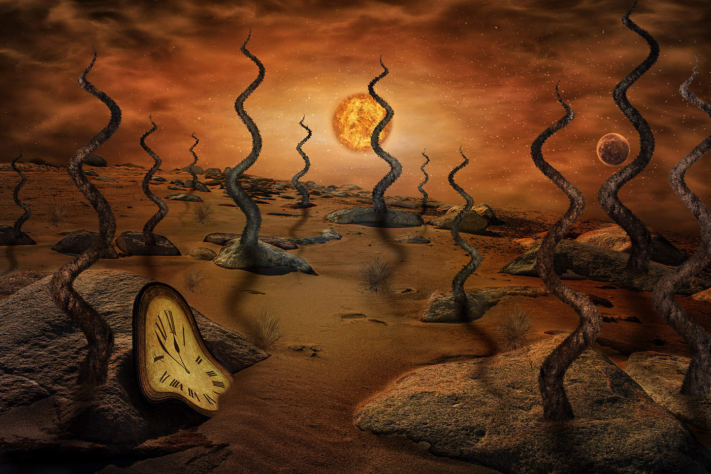 Blick in die Zukunft