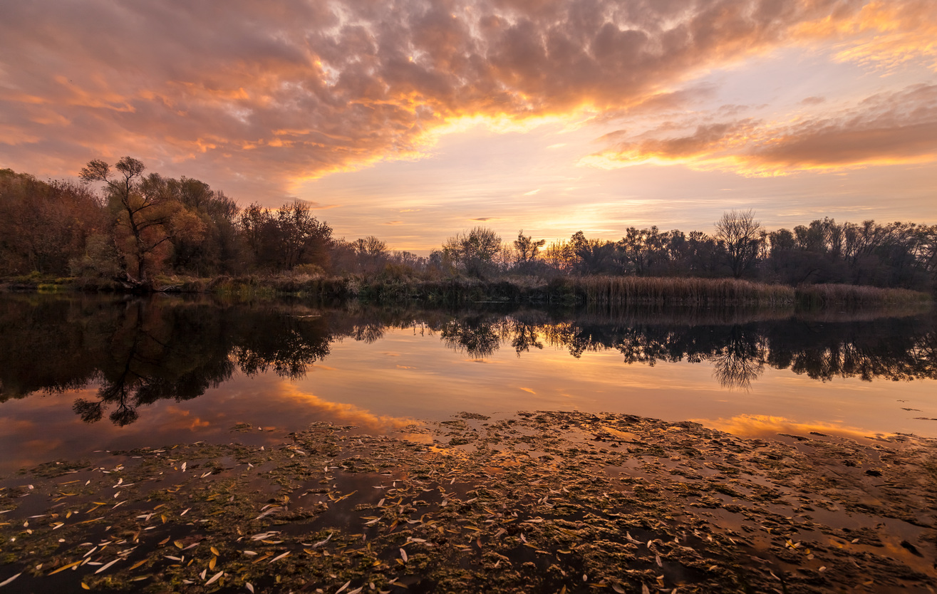 In der Ausstrahlung des Licht