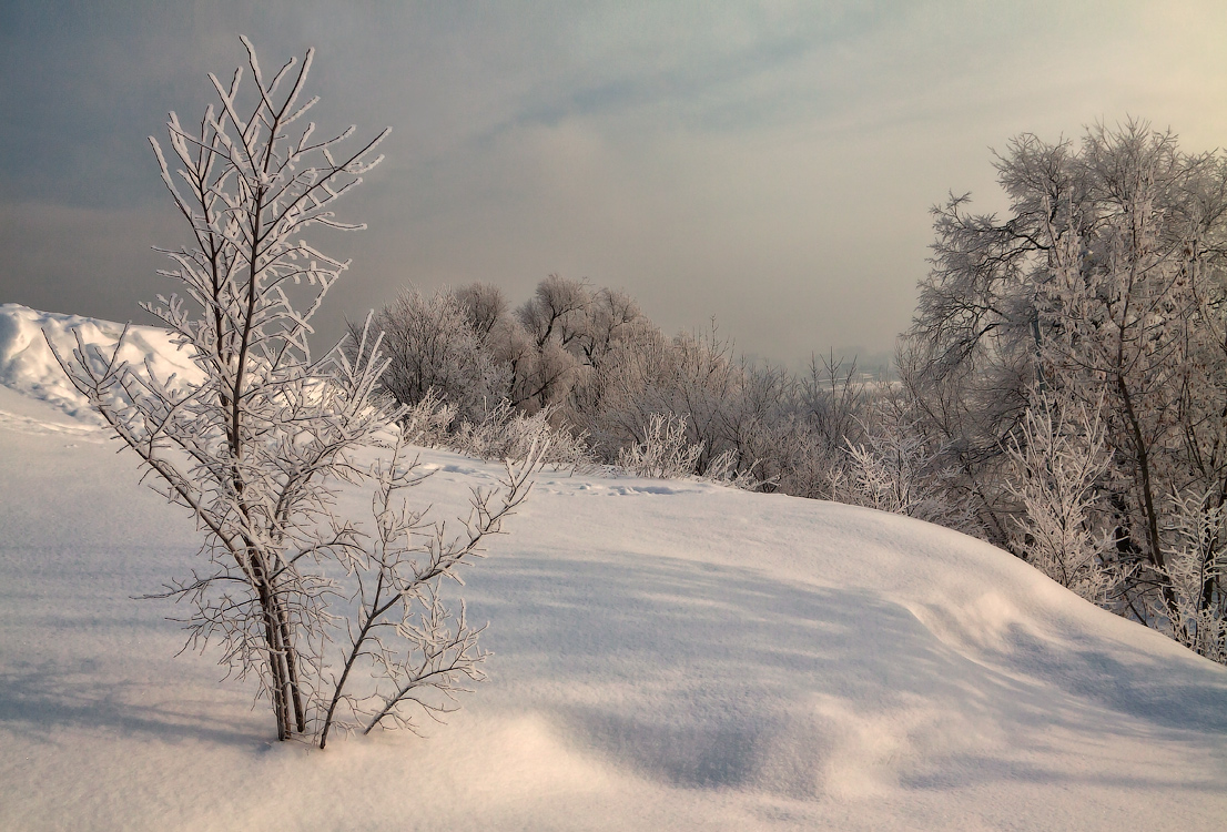 In diesem Winter ...